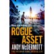 Rogue Asset