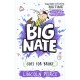 Big Nate Goes for Broke