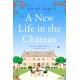A New Life in the Chateau: A joyful escapist summer read