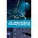 The Curious Incident of the Dog in the Night-Time: The Play