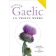 Scottish Gaelic in Twelve Weeks: With Audio Download