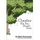 Chester The Big Street Tree