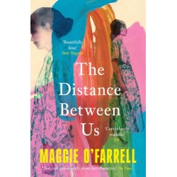 The Distance Between Us: The Sunday Times Bestseller from the Author of Hamnet