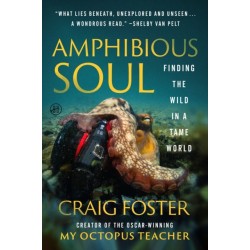 Amphibious Soul: Finding the Wild in a Tame World