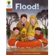 Oxford Reading Tree: Level 8: More Stories: Flood!