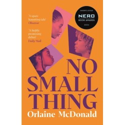 No Small Thing: 'One of the best debut novels I’ve read in recent years' Bernardine Evaristo