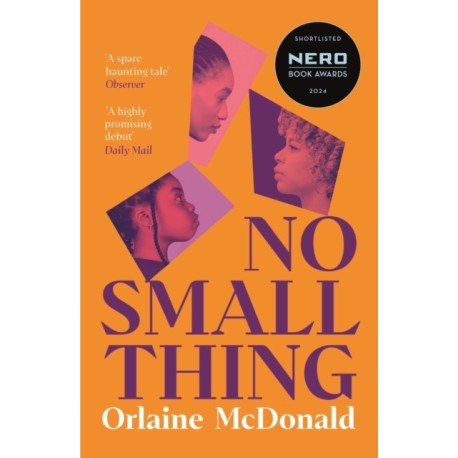No Small Thing: 'One of the best debut novels I’ve read in recent years' Bernardine Evaristo