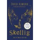 Skellig: the 25th anniversary illustrated edition
