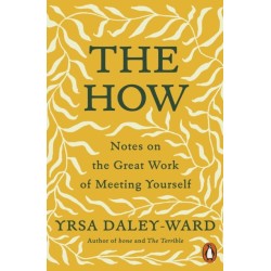 The How: Notes on the Great Work of Meeting Yourself