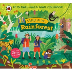 A Walk in the Rainforest