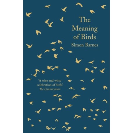 The Meaning of Birds