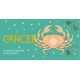 Cancer Pocket Zodiac Cards: 40 Magical Messages from the Stars