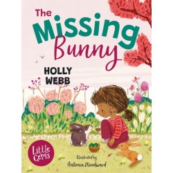 The Missing Bunny