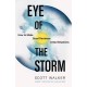 Eye of the Storm: How to Make Good Decisions in Bad Situations