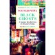 Black Ghosts: A Journey Into the Lives of Africans in China
