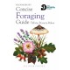 Concise Foraging Guide