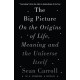 The Big Picture: On the Origins of Life, Meaning, and the Universe Itself