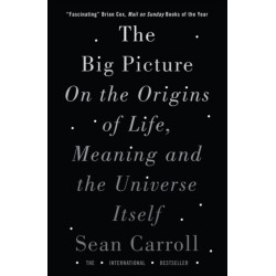 The Big Picture: On the Origins of Life, Meaning, and the Universe Itself