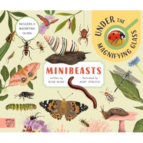 Minibeasts: Under the Magnifying Glass: Under the Magnifying Glass