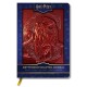 Harry Potter Sculpted Journal: Gryffindor