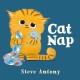 Cat Nap: A First Book About Naptime