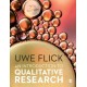 An Introduction to Qualitative Research