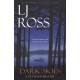 Dark Skies: A DCI Ryan Mystery