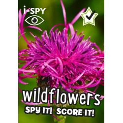i-SPY Wildflowers: Spy it! Score it!