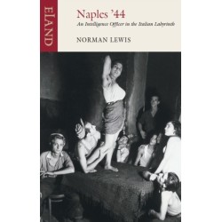 Naples '44: An Intelligence Officer in the Italian Labyrinth