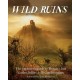 Wild Ruins: The Explorer's Guide to Britain Lost Castles, Follies, Relics and Remains