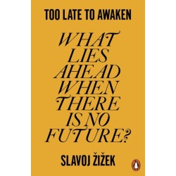 Too Late to Awaken: What Lies Ahead When There is No Future?