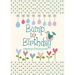 Bump to Birthday, Pregnancy & First Year Journal