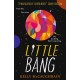 Little Bang: Shortlisted for the Carnegie Medal for writing 2025- double-winner of the Children's Book Ireland Awards