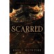 Scarred: The Fractured Fairy Tale and TikTok Sensation