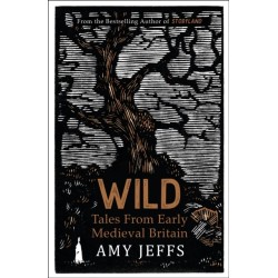 Wild: Tales from Early Medieval Britain from the Bestselling author of Storyland