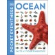 Ocean: Facts at Your Fingertips