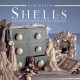 New Crafts: Shells: 25 Practical Projects Using Shapes and Textures of Natural Shells