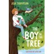 The Boy in the Tree