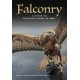 Falconry: A guide to training birds of prey