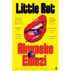 Little Rot: 'A masterwork of the form . . . mesmerising.' New York Times