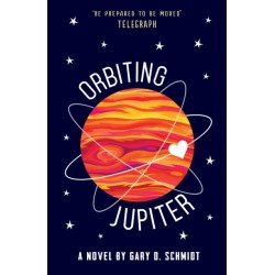 Orbiting Jupiter