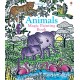Animals Magic Painting Book