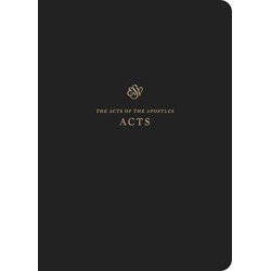 ESV Scripture Journal: Acts (Paperback)