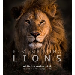 Remembering Lions