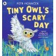 Tiny Owl's Scary Day