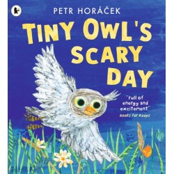 Tiny Owl's Scary Day