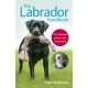 The Labrador Handbook: The definitive guide to training and caring for your Labrador