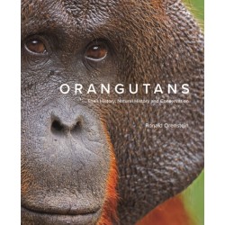 Orangutans: Their History, Natural History and Conservation