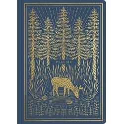 ESV Illuminated Scripture Journal: Psalms (Paperback)