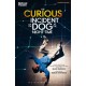 The Curious Incident of the Dog in the Night-Time